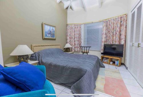卡里塔LaGita Carita Villa的一间卧室配有一张床和一台平面电视
