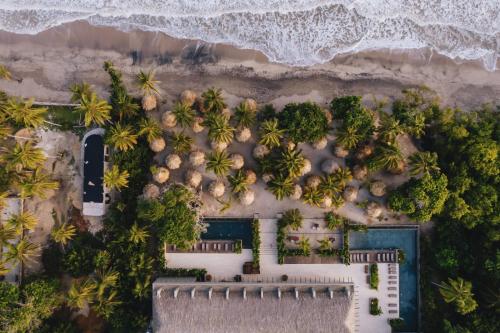 帕洛米诺Naio Hotel y Villas的享有棕榈树和海洋度假村的空中景致