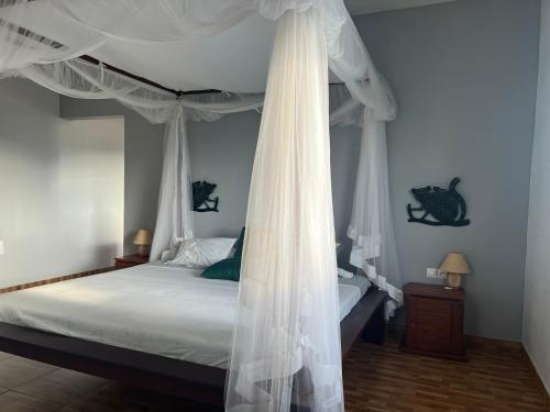 贝岛Appartement Melissa97- Bât4 Spacieux à Dzamandzar的卧室配有带白色窗帘的天蓬床