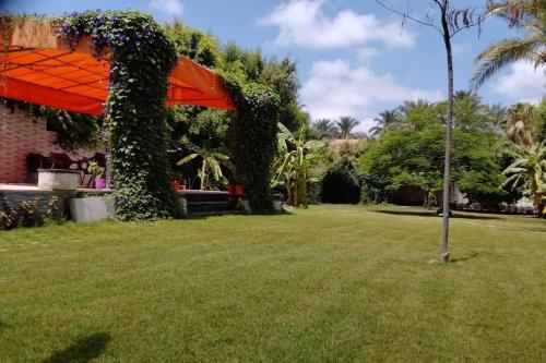 Qaryat ShākūshTwo pools four bedrooms private villa的庭院里有一个橘子树冠的花园