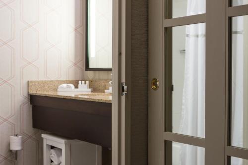 纽约纽约曼哈顿/市中心东区庭院酒店的一间带水槽和镜子的浴室