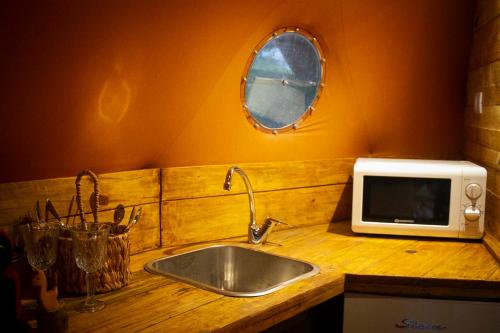 Tafí ViejoWillkay Glamping Raco Tucumán的厨房柜台设有水槽和微波炉