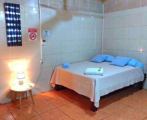 蓬塔雷纳斯Hostel del Pacífico的小房间设有一张床和一张带台灯的桌子
