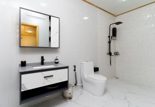 乌库拉斯Tropico villa的一间带卫生间、水槽和镜子的浴室