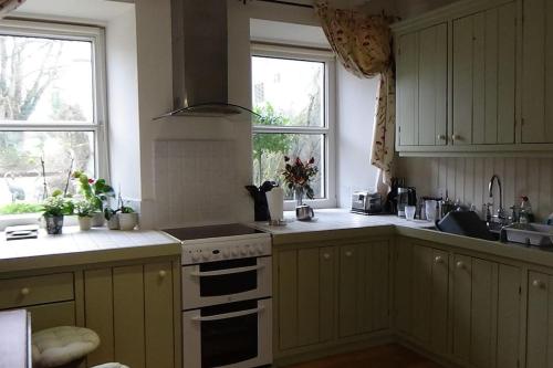 邓甘嫩The Weaver's Cottage的厨房设有黄色橱柜、炉灶和窗户。