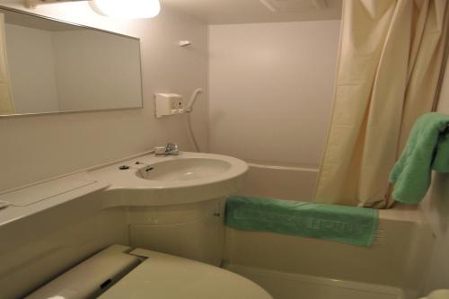 冈山Okayama Ekimae Universal Hotel的一间带水槽、卫生间和镜子的浴室