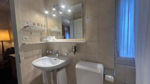 因特拉肯湖泊酒店的一间带水槽、卫生间和镜子的浴室