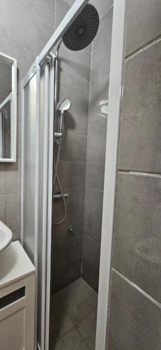 莱斯科瓦茨Sen's Studio的浴室里设有玻璃门淋浴
