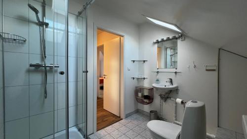 格仑达积图苏杜尔酒吧宾馆的带淋浴、卫生间和盥洗盆的浴室