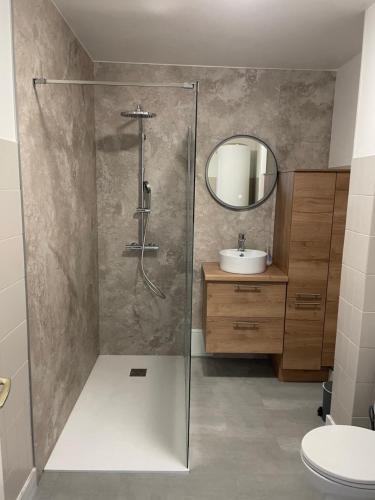 普雷讷夫昂德雷KER LOÏS Grand appartement Vue Mer tout confort的带淋浴和盥洗盆的浴室