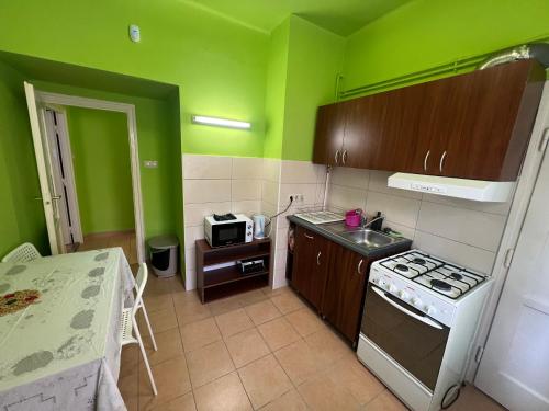 布达佩斯Family Friendly Apartman的一个带绿色墙壁和水槽的小厨房