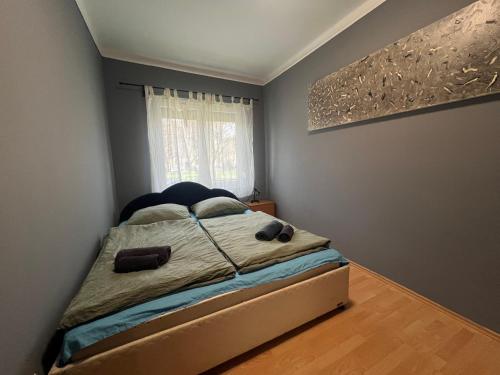 布达佩斯Family Friendly Apartman的一间带床的卧室,位于带窗户的房间内