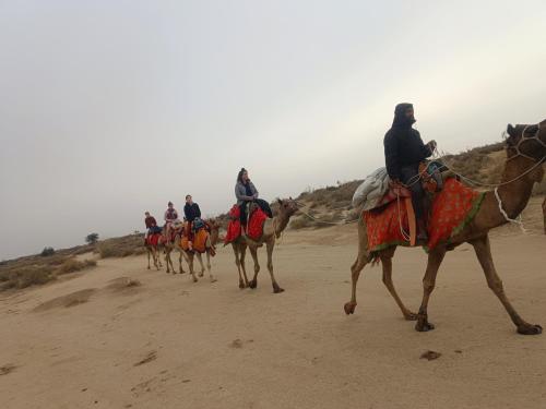 斋沙默尔Ideal Guest House的一群人在沙漠骑骆驼
