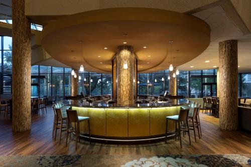 奥斯汀奥斯汀丽景凯悦酒店的餐厅设有酒吧、椅子和大型天花板