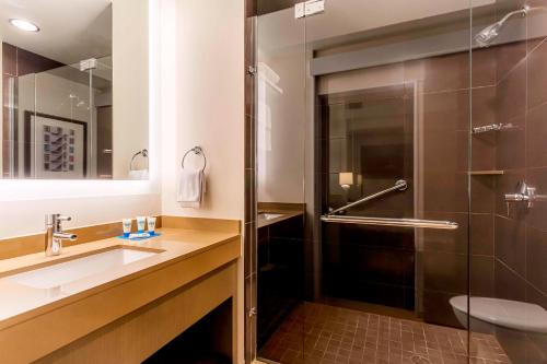 盐湖城盐湖城中心凯悦酒店的一间带水槽和淋浴的浴室