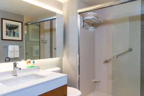 皇家橡Hyatt Place Detroit/Royal Oak的一间带水槽和淋浴的浴室