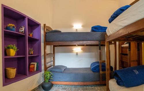 塔里哈卡萨布兰卡旅馆 的带两张双层床的紫色架子客房