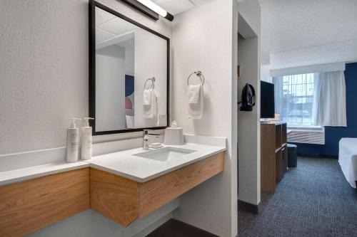 罗切斯特纽约州罗切斯特大学区丽怡酒店的一间带水槽和大镜子的浴室