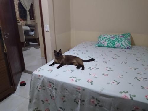 桑塔克鲁茨卡巴利亚Cantinho da Margarete的躺在床上的一只黑猫