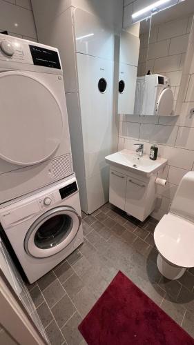萨伦Perfect winterhouse in Sälen的一间带洗衣机和水槽的浴室