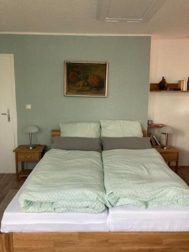 爱尔福特Wohnen im Grünen bei der Töpferei的一张位于房间的床,上面有两个枕头