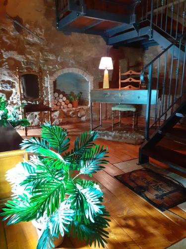 伊格莱西亚斯B&B Città Regia的一间客厅,里面装有盆栽植物和钢琴
