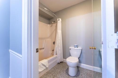 桑威奇丹韦伯斯特水疗酒店的一间带卫生间和淋浴的浴室