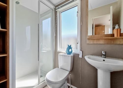 梅布尔索普Towervans Caravan Park的一间带卫生间、水槽和窗户的浴室