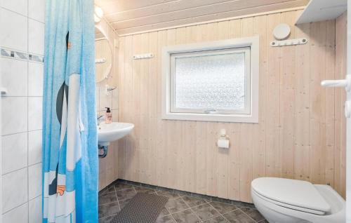 丹讷马勒Amazing Home In Dannemare With Kitchen的一间带卫生间和水槽的浴室