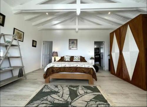 圣马丁岛Maison de Camille的一间卧室设有一张大床和梯子