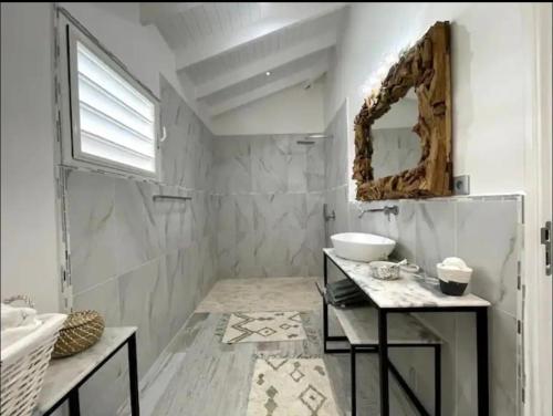 圣马丁岛Maison de Camille的白色的浴室设有水槽和镜子