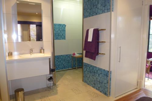 塔姆沃思弗戈摩尔庄园酒店的一间带水槽和淋浴的浴室