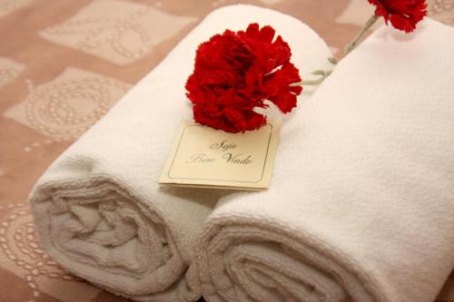 巴拉奈里奥-坎布里乌Villa Germânia的毛巾上一朵红花,贴上纸条