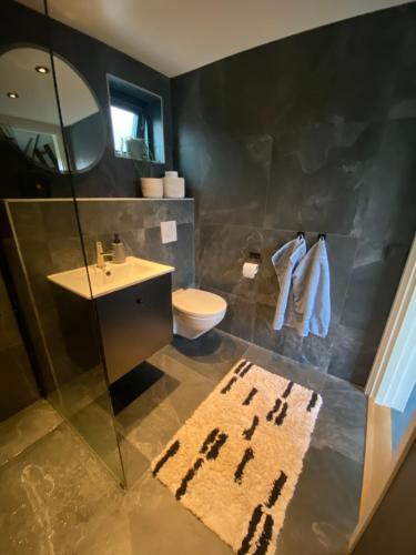 TygelsjöMinihus i Tygelsjö的一间带水槽、卫生间和镜子的浴室