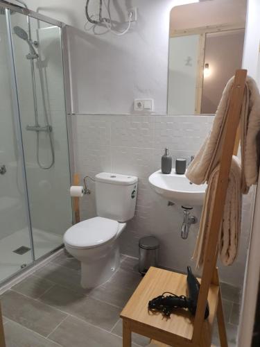 格拉纳达CASA MORENA MiA APARTAMENTOS的浴室配有卫生间、盥洗盆和淋浴。