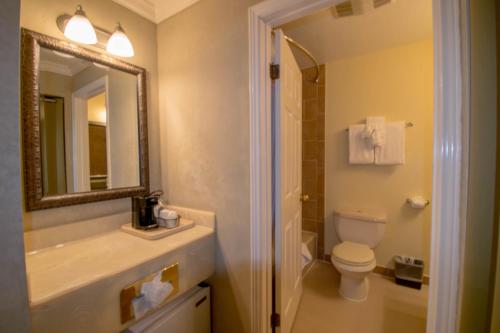 圣西米恩圣西蒙摩根酒店的一间带水槽、卫生间和镜子的浴室