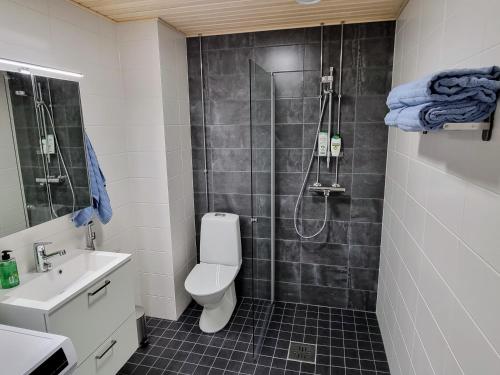 劳马Upea huoneisto Rauman keskustassa的带淋浴、卫生间和盥洗盆的浴室