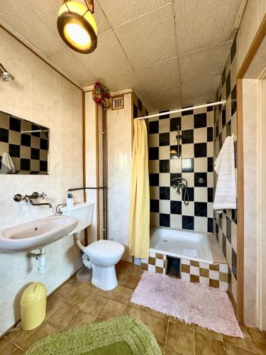 DegendorfAgro-Raj u Joli Charbrowo的浴室配有盥洗盆、卫生间和浴缸。