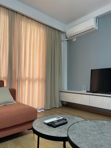 卡瓦亚Shehapi apartment的带沙发和平面电视的客厅