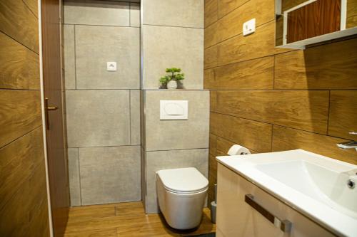 罗维尼罗维尼贾克林公寓的一间带卫生间和水槽的浴室