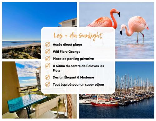 帕拉瓦莱弗洛Le Sunlight - T2 bord de mer, Parking的粉红色火烈鸟和码头的传单