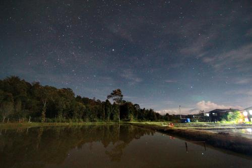 巴里奥Labang Guesthouse Bario的水体上的星夜