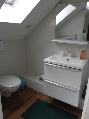 克雷伊Appartement privé avec jardin的浴室配有白色水槽和卫生间。