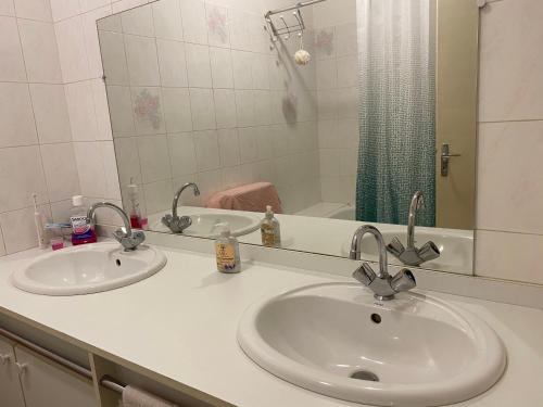 昂热Chambre Angers centre-ville gare 1的浴室设有2个水槽和镜子