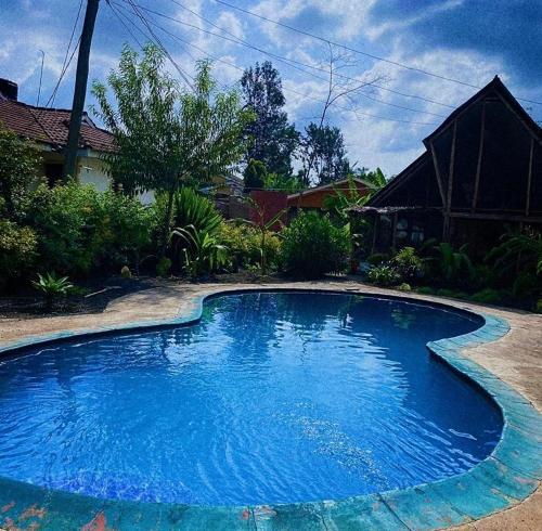 阿鲁沙Homestay in Arusha Wanderful Escape的院子里的大型蓝色游泳池