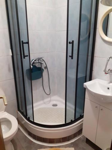利纳迪奇Apartments Pavlović的带淋浴、卫生间和盥洗盆的浴室