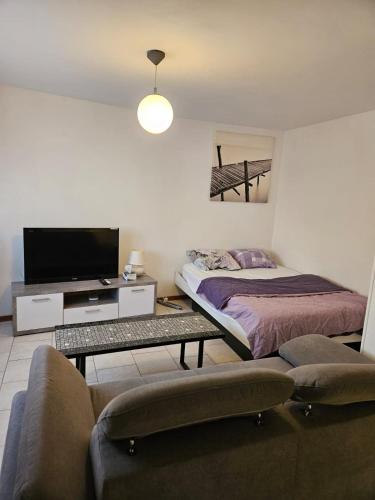 拉绍德封Joli Studio的一间卧室配有一张床、一台电视和一张沙发