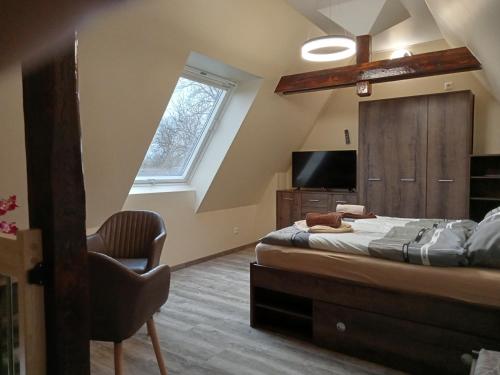 森夫滕贝格Seenlandoase Reppist的一间卧室配有一张床、一台电视和一把椅子
