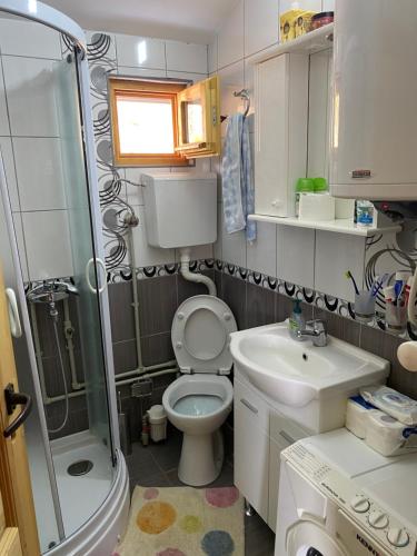 AndrijevicaBrvnara Gradišnjica的一间带卫生间和水槽的小浴室