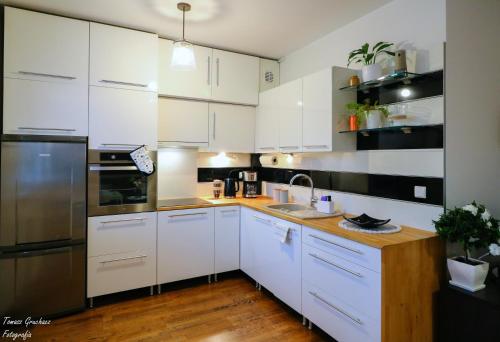 Apartament Działkowa przy Parku的厨房或小厨房